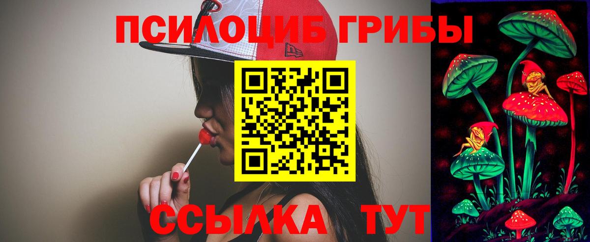 Лесной  Псилоцибиновые грибы Magic Shrooms  дарнет шоп  Вход с VPN 